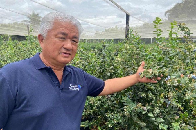 Engenheiro-agrônomo, Osvaldo Kivoshi Yamanishi é um especialista na produção de mirtilo no DF