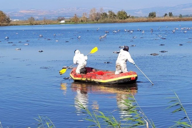  (crédito:  Israel Nature and Parks Authority)