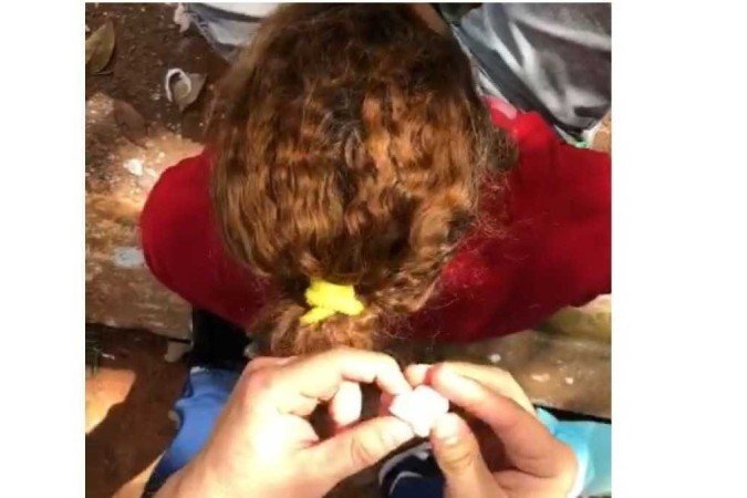 Droga era escondida no cabelo para despistar a polícia - (crédito: PCDF/Divulgação) Droga era escondida no cabelo para despistar a polícia - (crédito: PCDF/Divulgação)