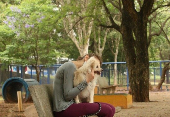  Rovena Rosa/Ag..ncia Brasil