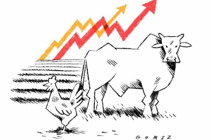  (crédito: Caio Gomez)