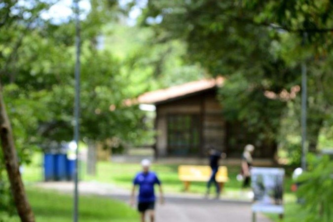  03/01/2022 Crédito: Marcelo Ferreira/CB/D.A Press. Brasil. Brasilia - DF -  Capivaras no Parque de Águas Claras. 