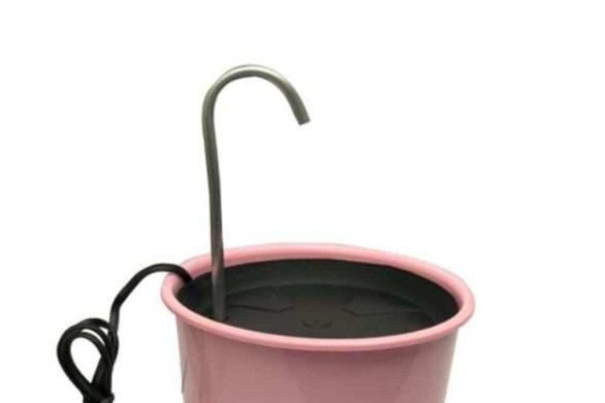 Bebedouro para gatos rosa, nas Lojas Americanas (R$ 44,90)