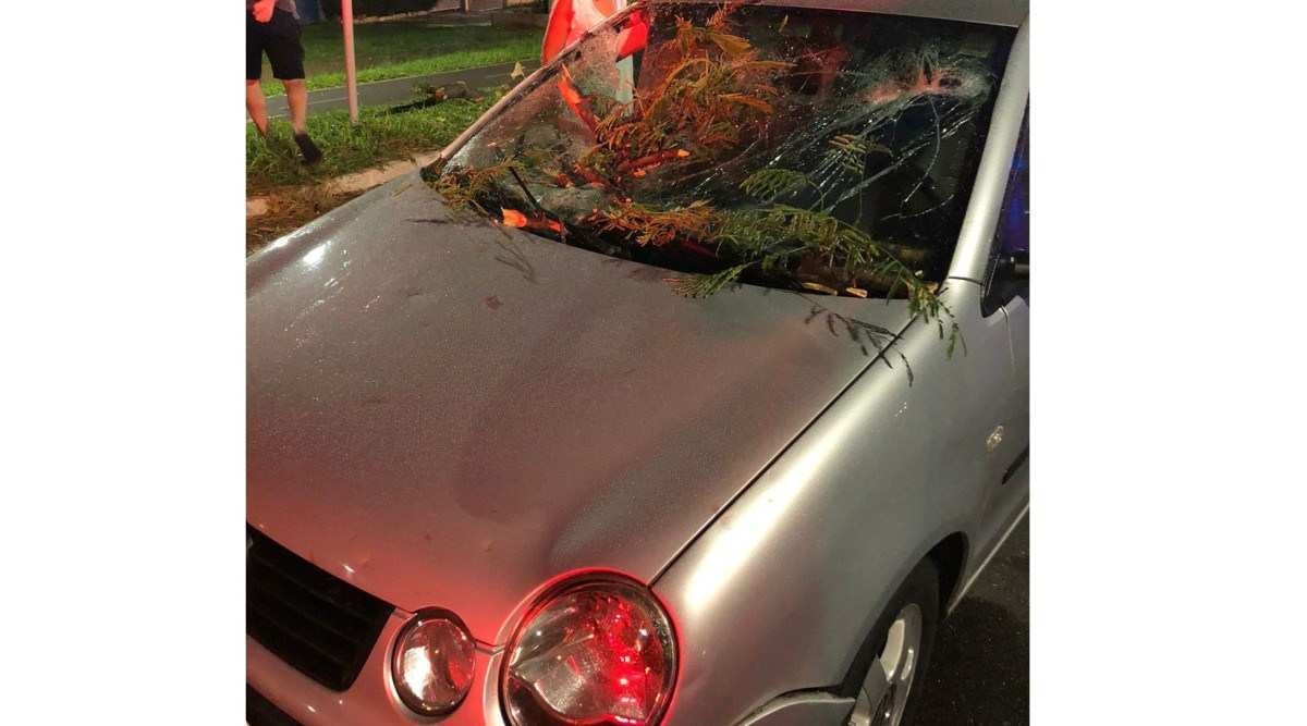 Árvore cai em cima de carro em movimento no Guará; veja vídeo