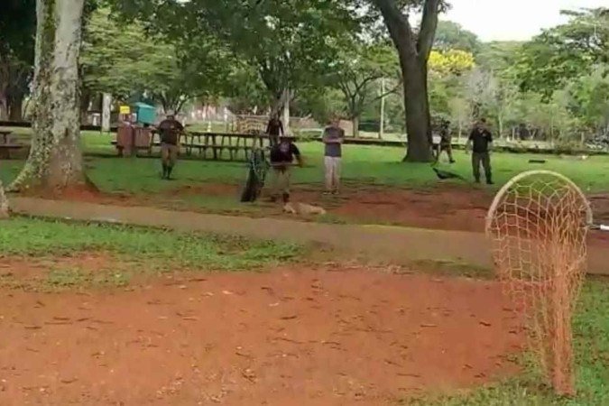  (crédito: PMDF/Divulgação)