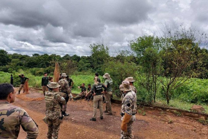 Fotos das buscas da Suçuarana Loki, no sábado (8/1)