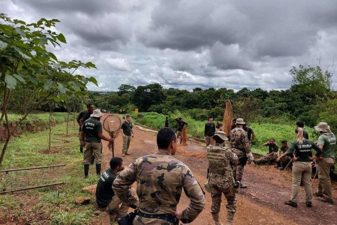 Fotos das buscas da Suçuarana Loki, no sábado (8/1)