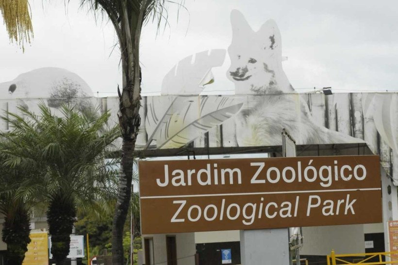 Zoológico de Brasília retoma visitas noturnas a partir de terça (21/6)