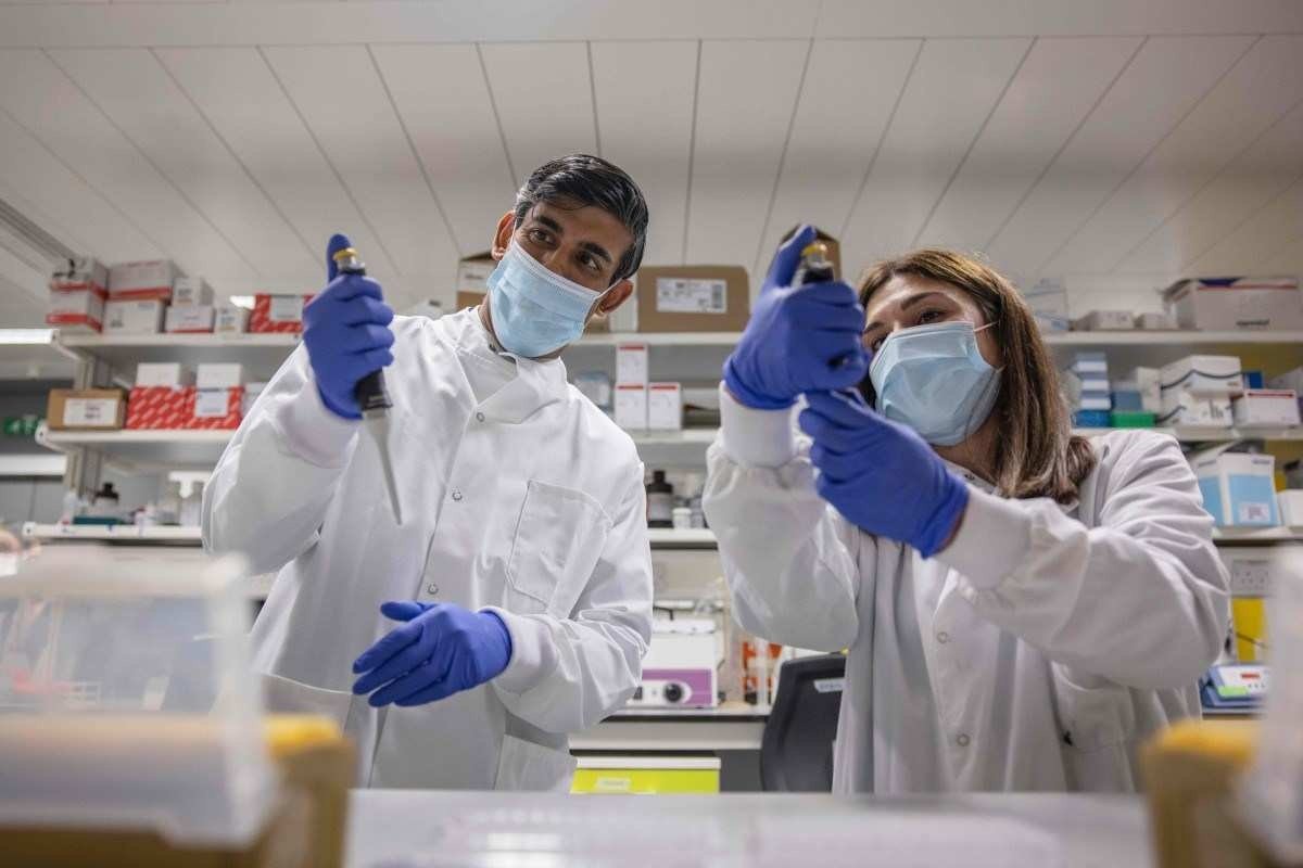 Vírus da covid-19 pode viver quase um mês nos testículos, aponta pesquisa