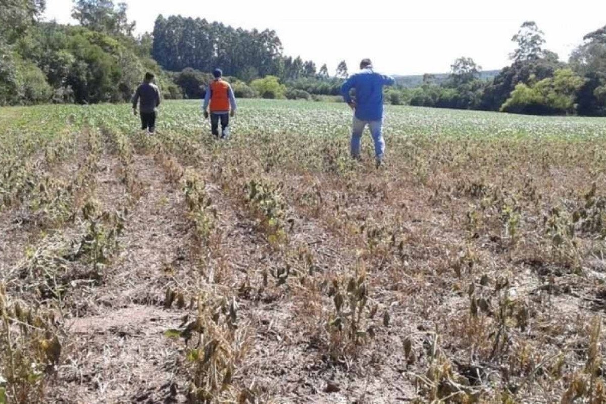 Sul e Centro-Oeste somam mais de R$ 45 bi em perdas na agricultura por secas