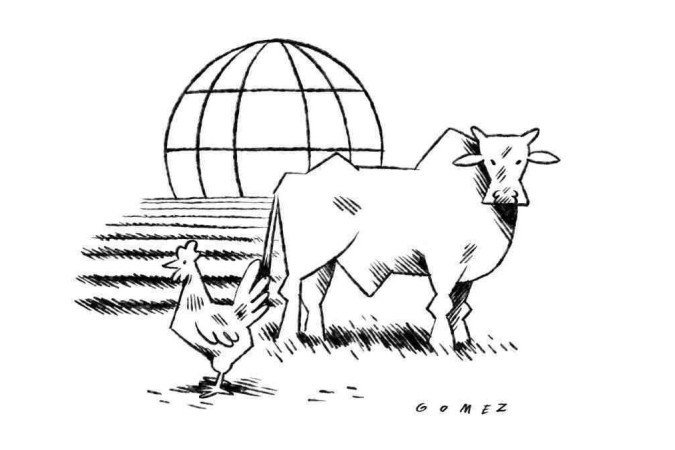 (crédito: Caio Gomez) (crédito: Caio Gomez)
