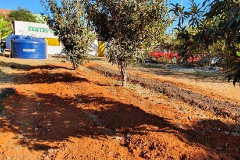 Horta Comunitária do Guará na QE 38 do Guará II.