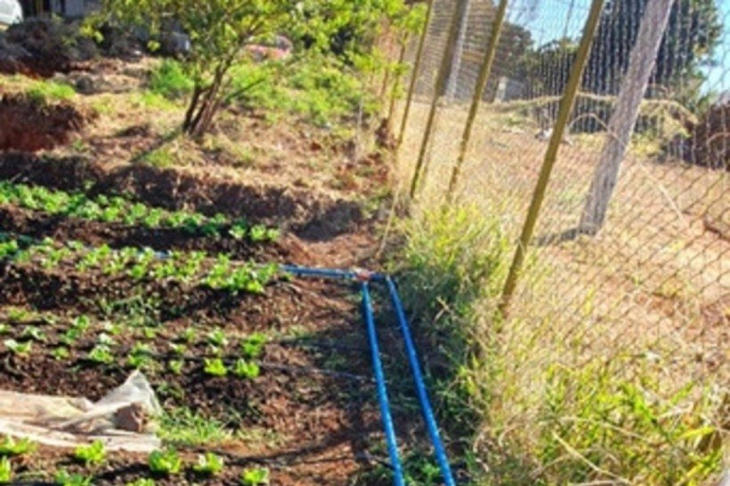 Horta Comunitária do Guará na QE 38 do Guará II.