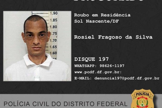 (crédito: Divulgação/PCDF) (crédito: Divulgação/PCDF)