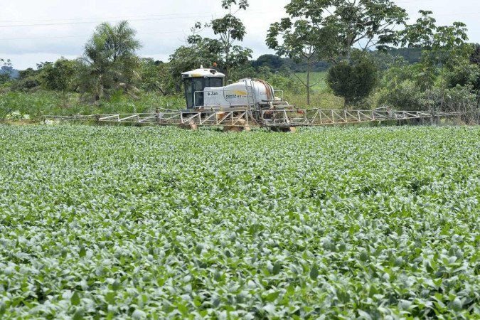 Segundo agricultores, investimentos em fertilizantes influenciaram na produção  -  (crédito:  Marcelo Ferreiro/CB)