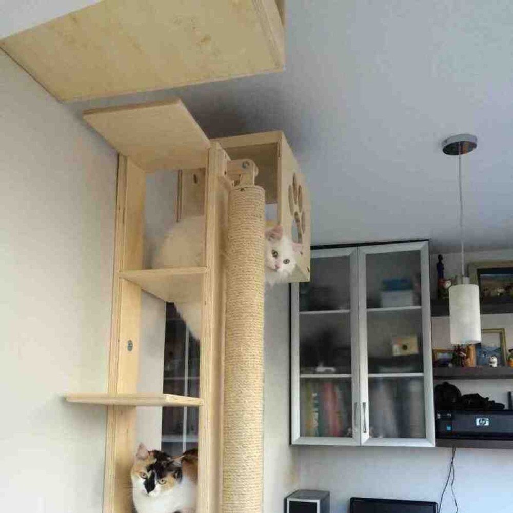 Torre montada no apartamento para a diversão dos bichanos