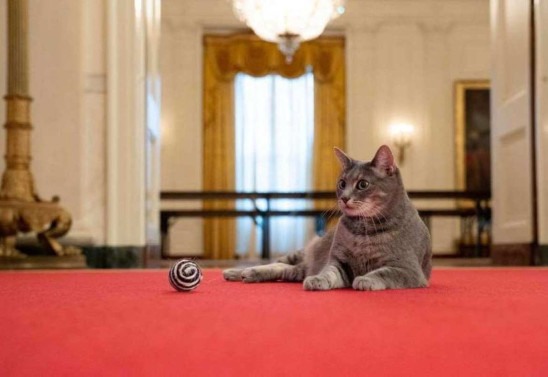 Foto: The White House/ AFP Este