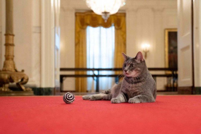 (crédito: The White House / AFP) (crédito: The White House / AFP)