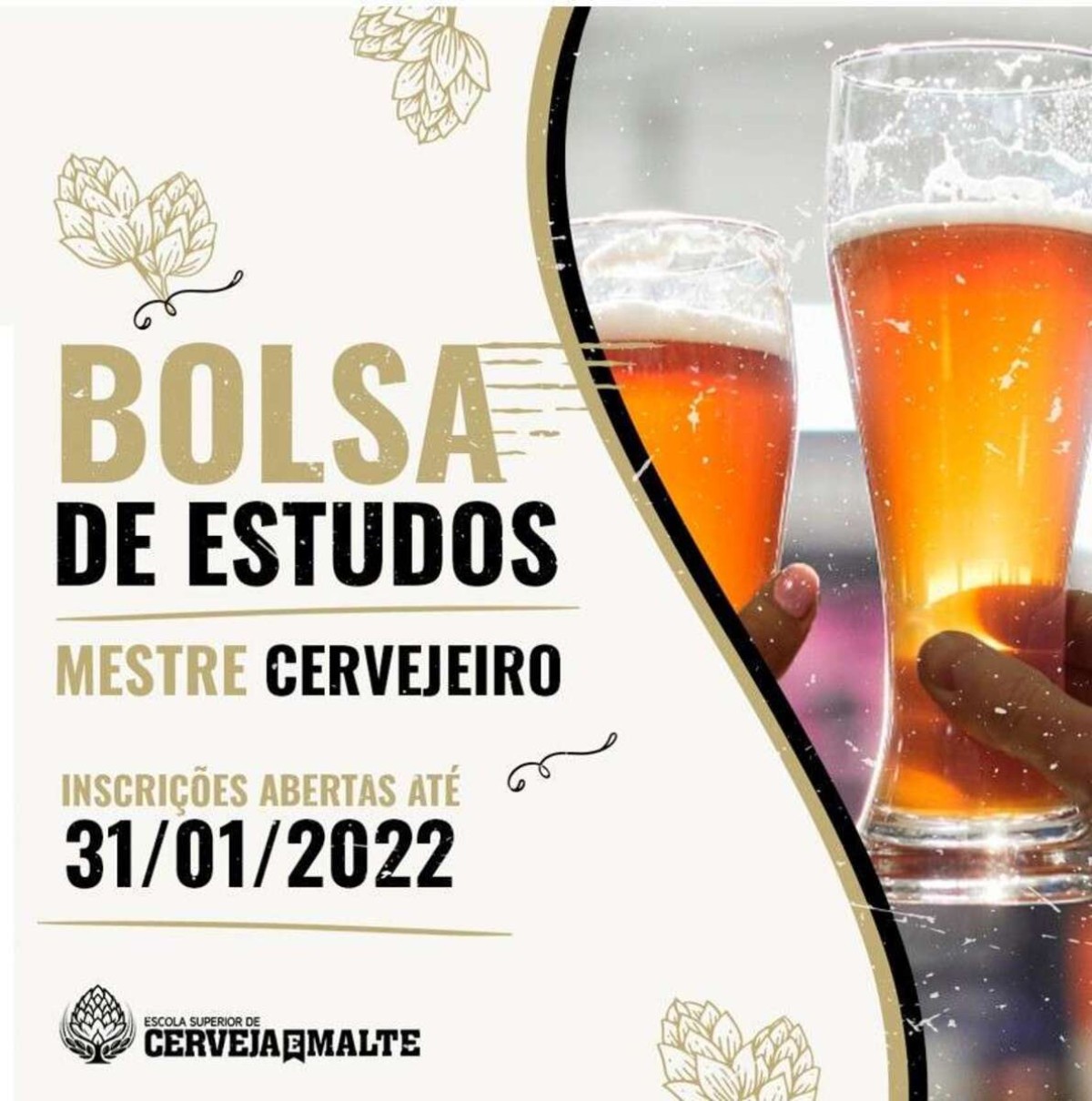 Ambev e ESCM oferecem bolsas de estudo para formação cervejeira