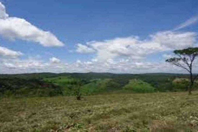  (crédito: Redes Sociais)