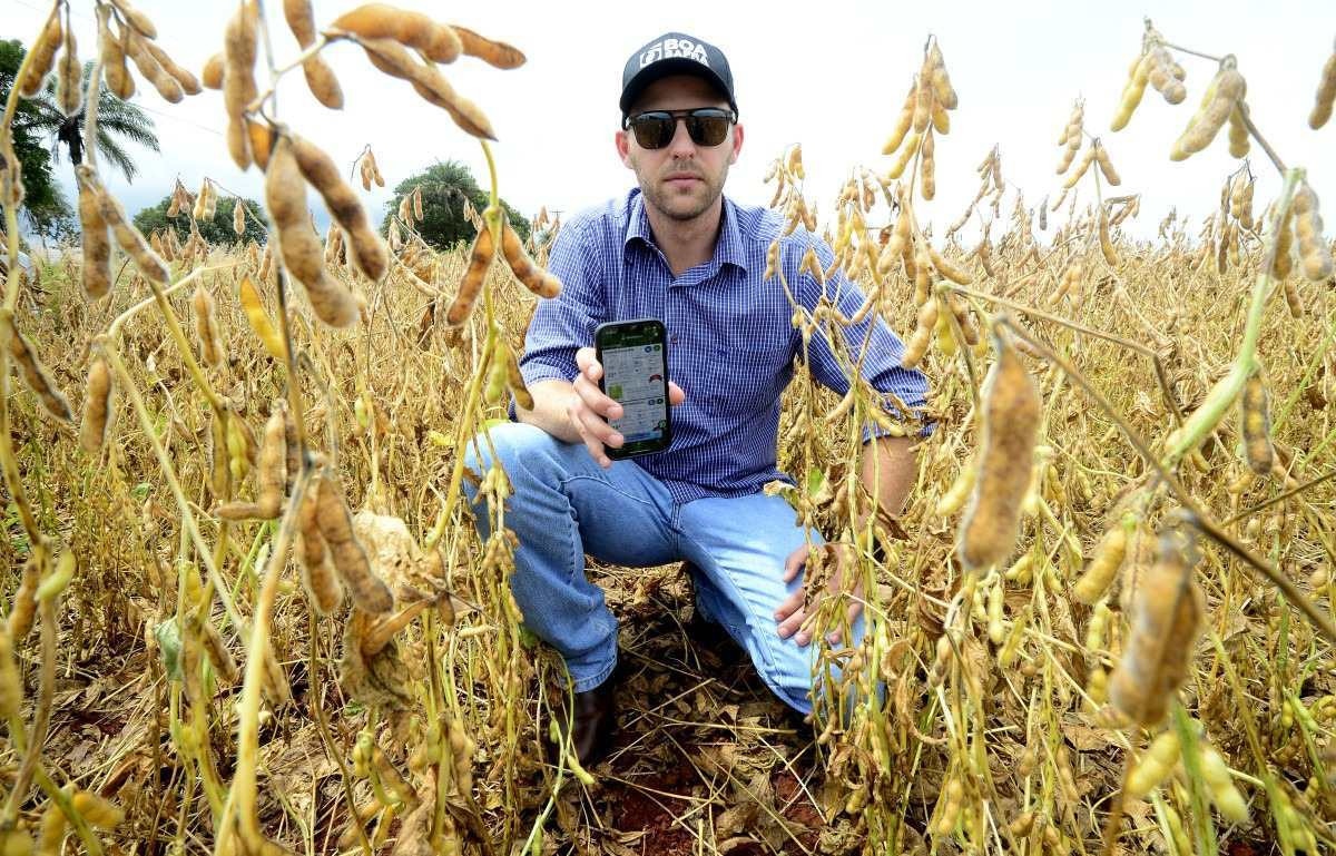 Apesar do atraso na colheita, produtores de soja estão otimistas com a safra