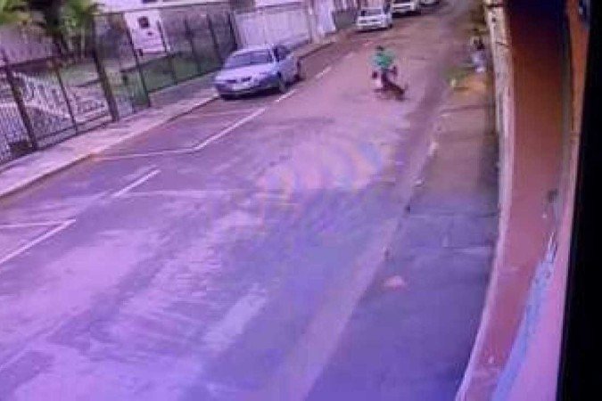 IImagem mostra momento exato do ataque do pitbull, no Bairro Catumbi, em Três Pontas -  (crédito:  Reprodução de vídeo)