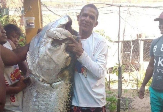 Twitter/Reprodução