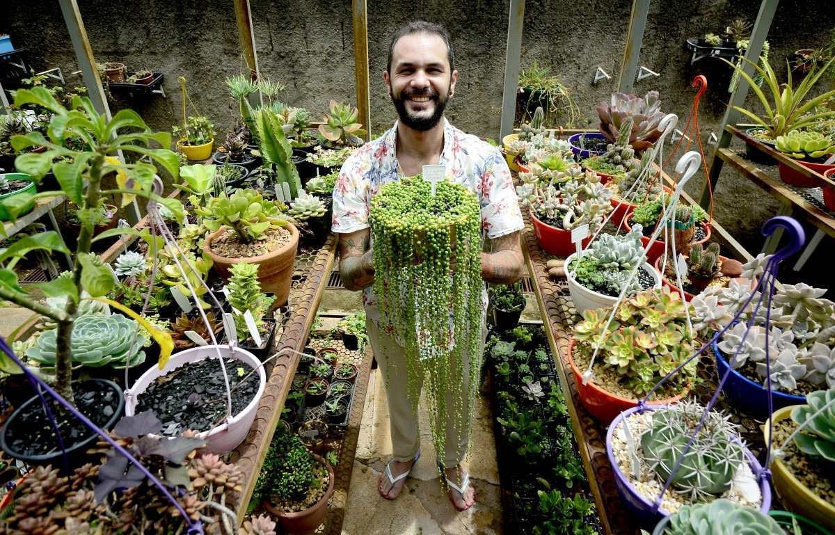 DF tem maior mercado consumidor de flores do país, segundo Emater