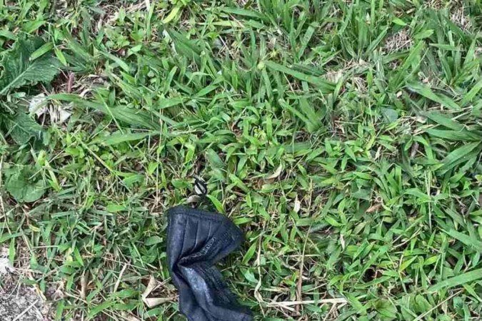 Na beira de uma calçada no Lago Sul