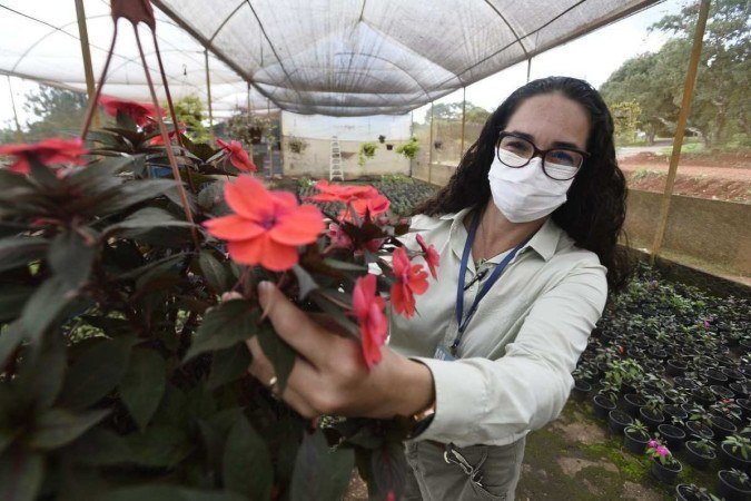  Janaína Lima Gonzáles é a resposável pelos viveiros da Novacap