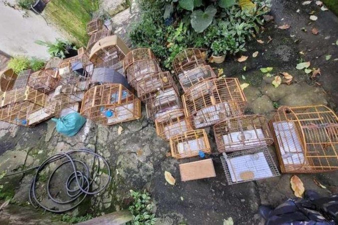  (crédito:  Grupamento de Policiamento Ambiental-GPA da Guarda Civil de Contagem)