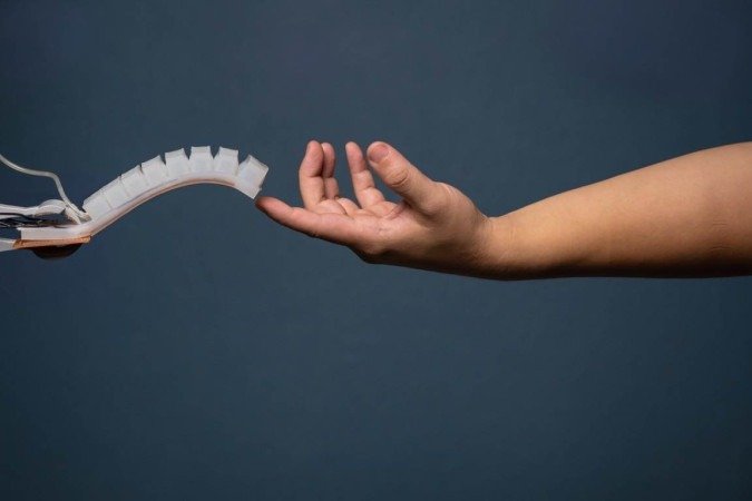  (crédito:  David Baillot/Divulga&ccedil;&atilde;o)