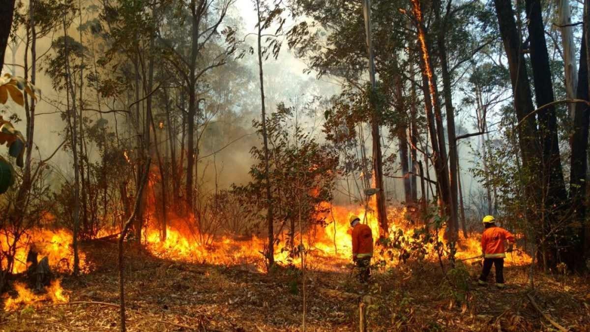 Incêndios florestais caem nos primeiros meses 2023, mostra MapBiomas