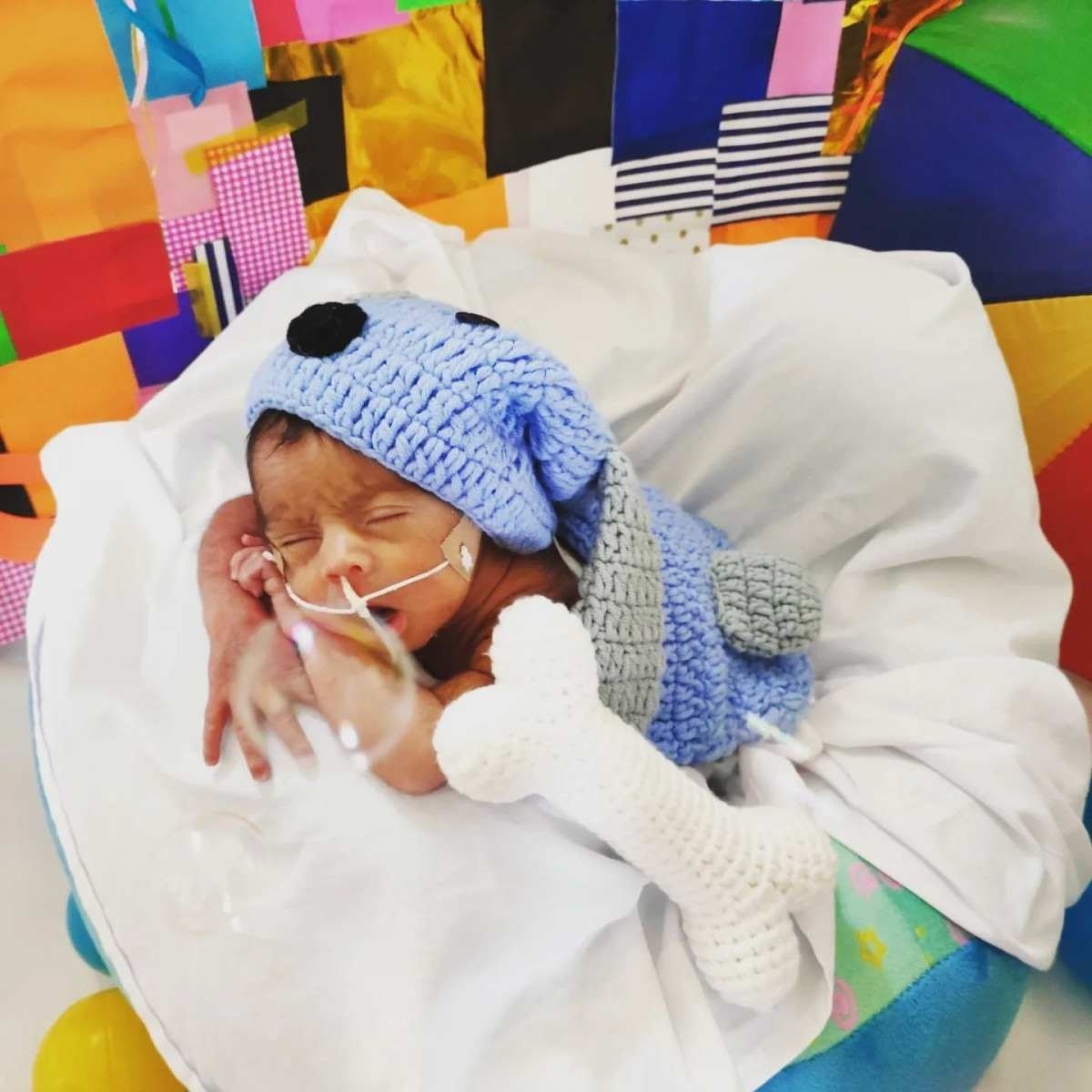 Fofuras do Hospital de Santa Maria ganharam um ensaio fotográfico