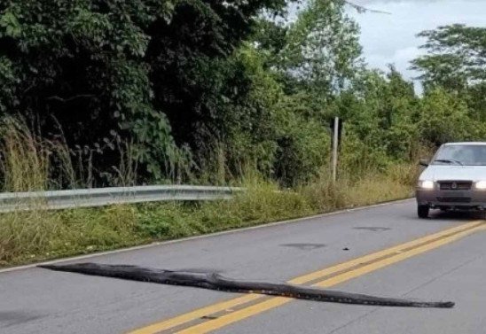 Reprodução/ Redes sociais 