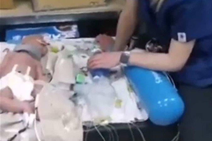  (crédito: reprodução )