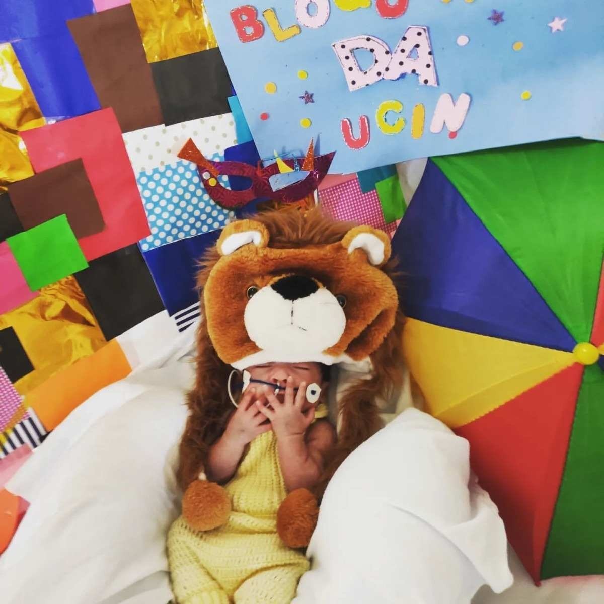 Fofuras do Hospital de Santa Maria ganharam um ensaio fotográfico