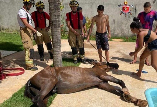 Divulgação/CBMDF