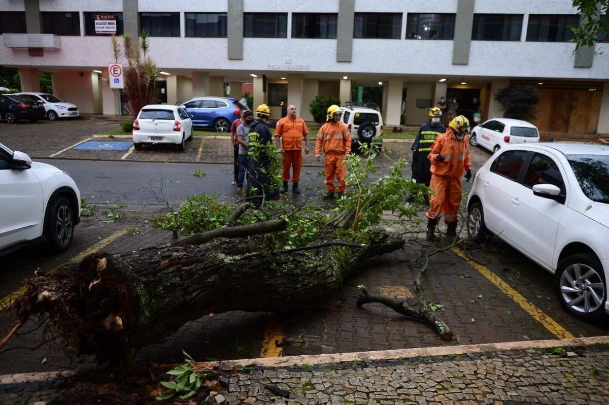  22/02/2022 Crédito: Marcelo Ferreira/CB/D.A Press. Brasil. Brasilia - DF -  Chuva em Brasília. Árvore caiu entre os carros no Sudoeste QS 02 Bloco 4