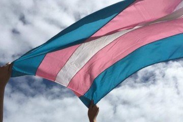 Na última década, ao menos 664 projetos de lei relacionados à população transgênero foram protocolados. Do total, 416 (62,6%) buscam ampliar direitos e 248 (37,3%) visam restringi-los  -  (crédito: Reprodução/Internet)