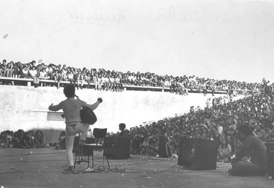  Ricardo Nóbrega/Divulgação