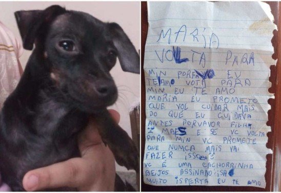 Colagem/Arquivo Pessoal