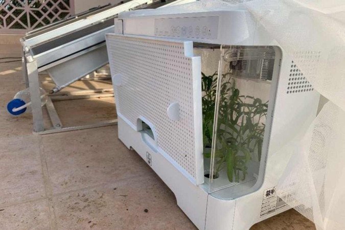 Durante teste de 15 dias em uma regi&atilde;o quente, os pain&eacute;is geraram 1.519 watts/hora de eletricidade e criaram 2l de &aacute;gua, usados para irrigar 60 sementes de espinafres: 57 brotaram e cresceram