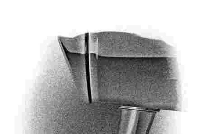  (crédito: pri-0703-opini.jpg)