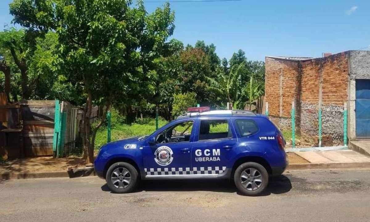 Homem que matou 9 cães está foragido; protetores de animais vão à Justiça