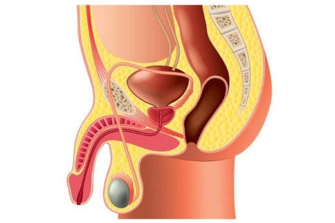  (crédito: Reprodução)