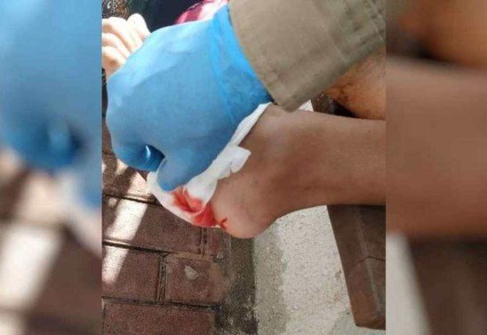  Divulgação/Corpo de Bombeiros