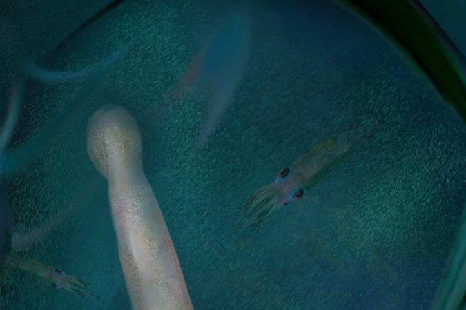  (crédito: K. Whalen/Divulgação)