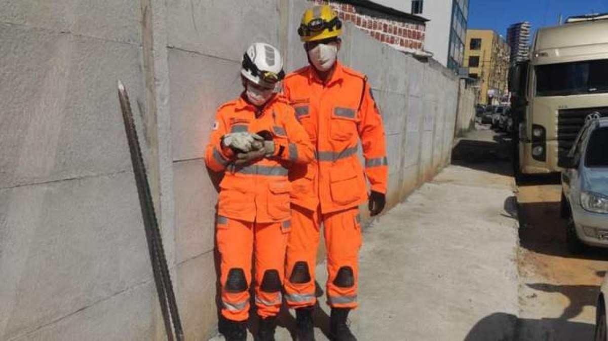 Levado, o cachorrinho de Barbacena foi entregue à mãe sem ferimentos