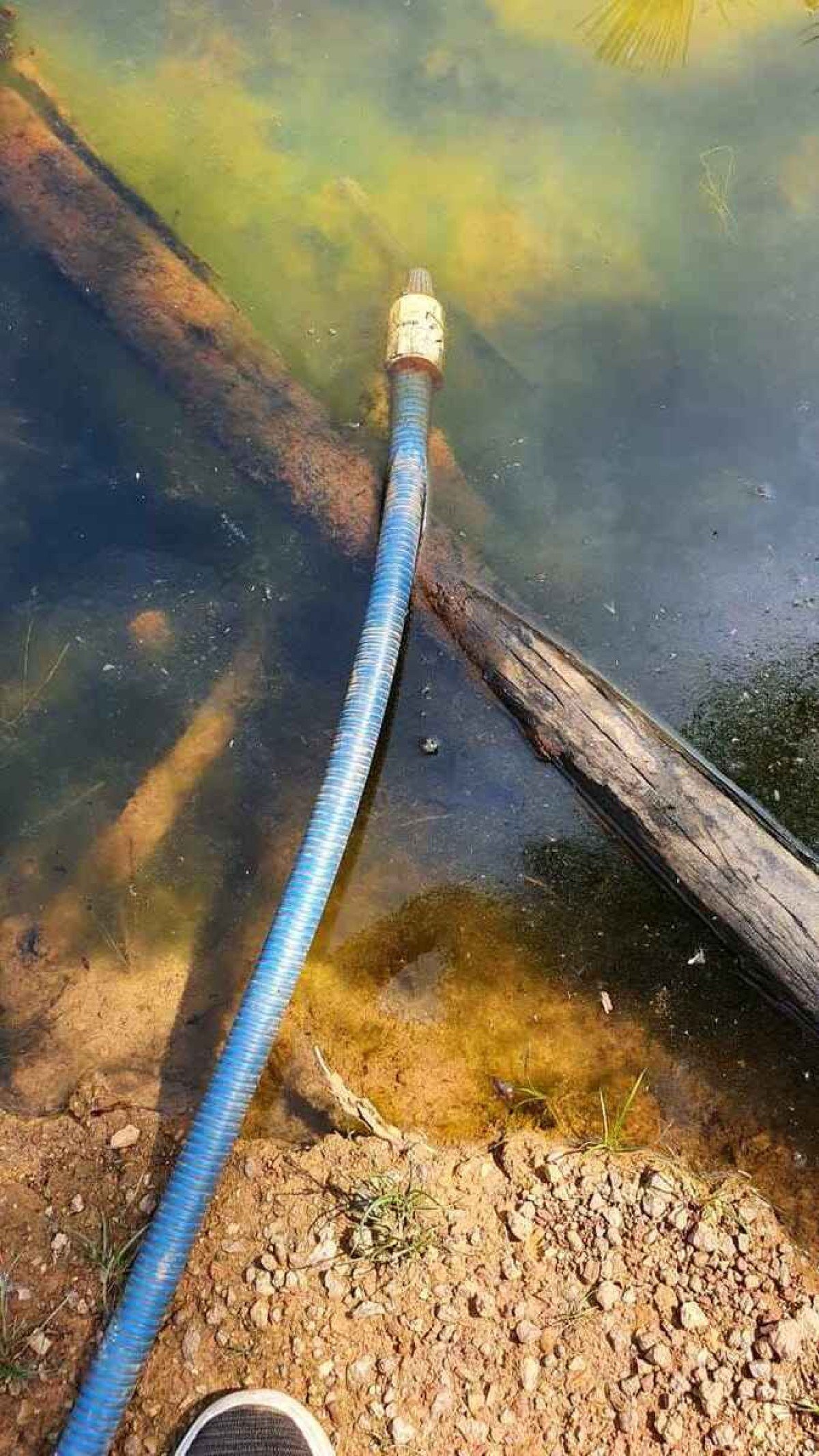 23 trabalhadores são resgatados em duas carvoarias em Cristalina